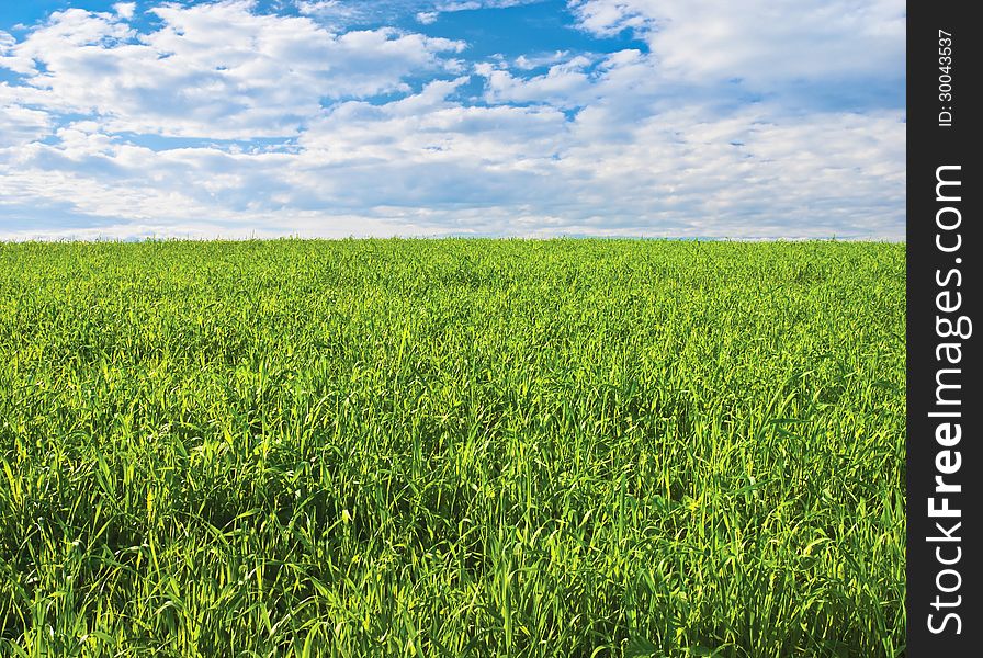 Green field, sky and clouds