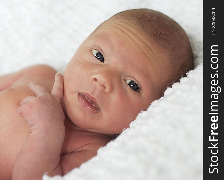 Portrait of a cute newborn baby