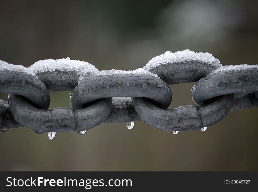 chain with snow, although it thaws raindrops hang on the image border. chain with snow, although it thaws raindrops hang on the image border.