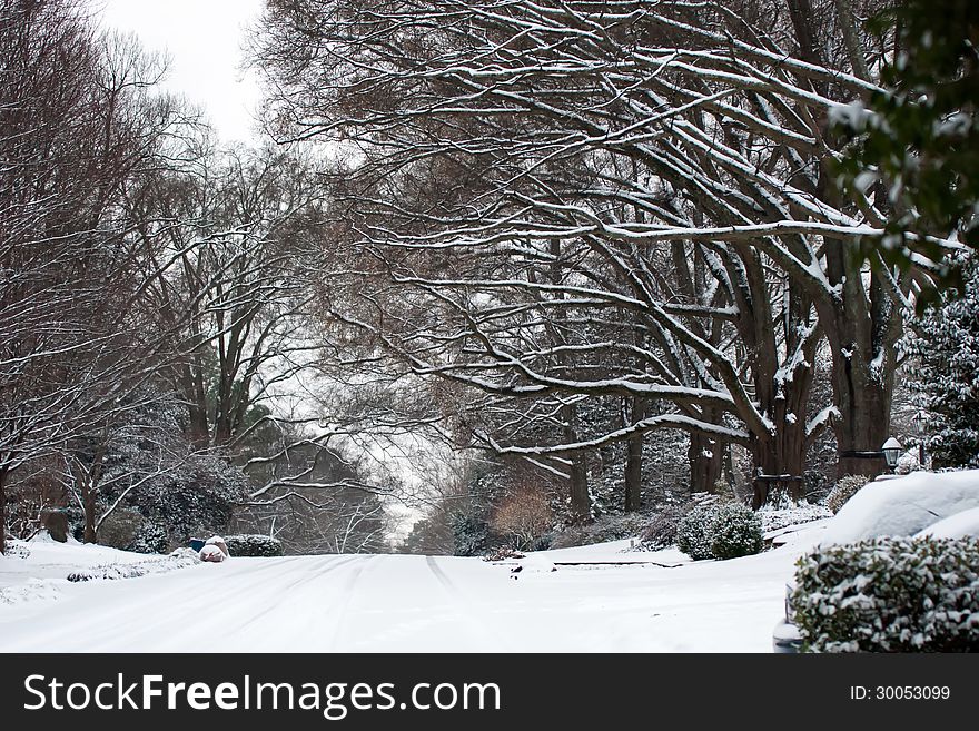 Snow Covered Street And Treeline
