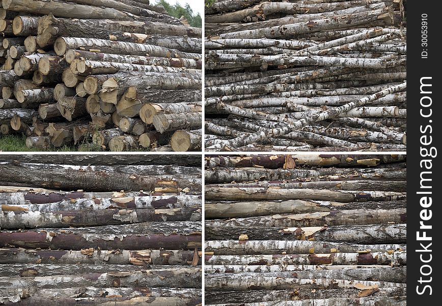 Stacked pilesbirch with different views