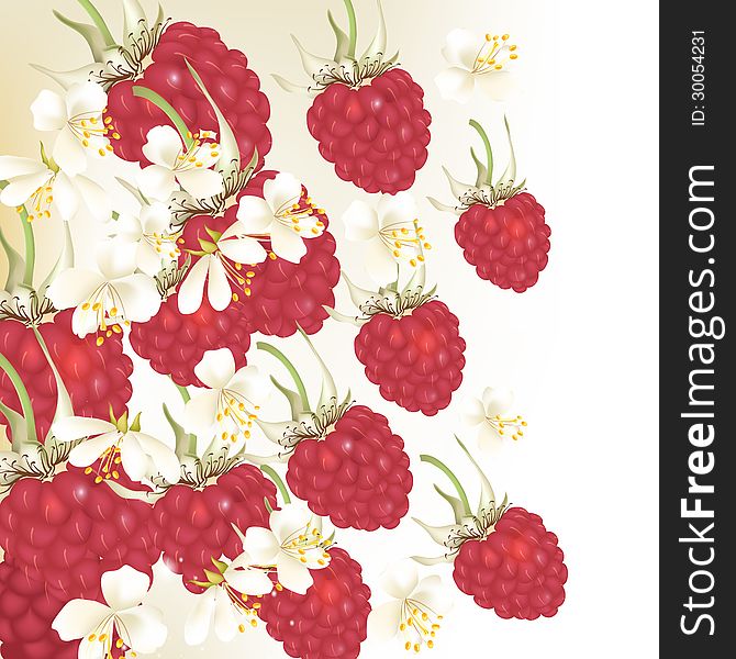 Vector realistic background with fresh raspberry on branch. Vector realistic background with fresh raspberry on branch