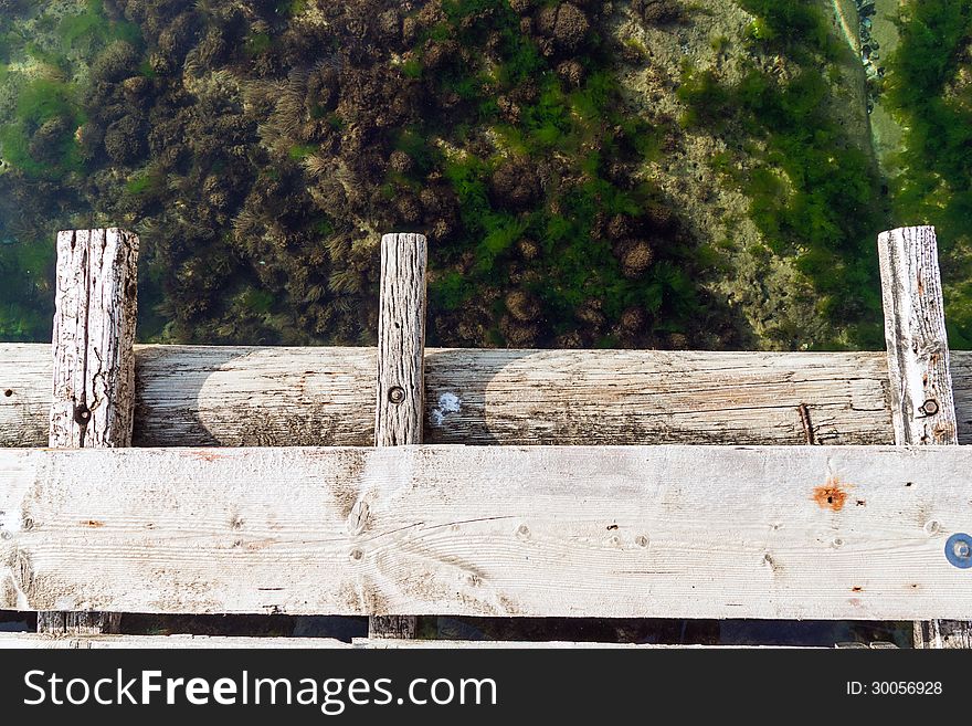 Standing on a bridge over the sea