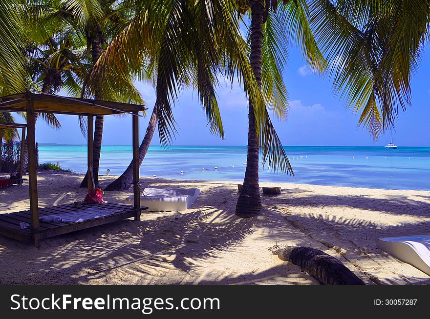 Caribbean landscape