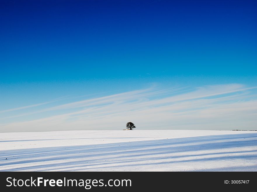 Beautiful winter landscape, Kiev region, Ukraine