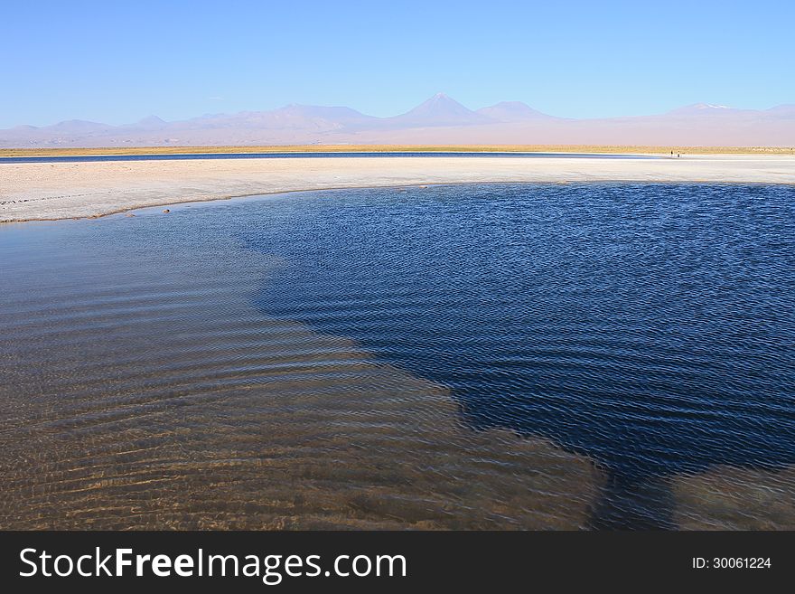 Laguna Cejar is located in Atacama Desert of Chile. The concentration of salt is so strong that everybody floats in the salty water. Laguna Cejar is located in Atacama Desert of Chile. The concentration of salt is so strong that everybody floats in the salty water.