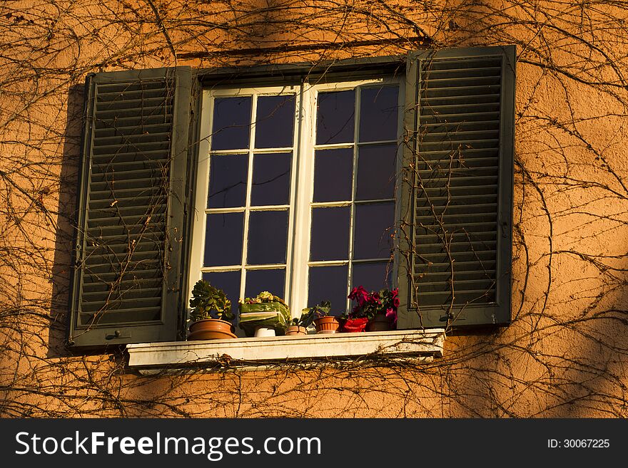 Decorated window