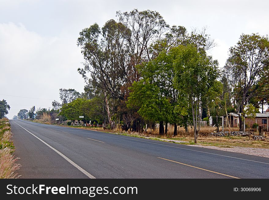 Road in perspective with trees beside the way. Road in perspective with trees beside the way