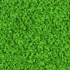 Green Meadow Grass. Seamless Texture. Stock Photo Green Meadow Grass. Seamless Texture. Stock Photo