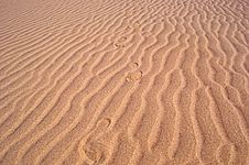 Footprints On The Beach Stock Photography Footprints On The Beach Stock Photography