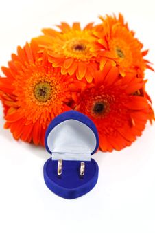 Two Gold Wedding Rings With A Bouquet Of Orange Gerberas Stock Images Two Gold Wedding Rings With A Bouquet Of Orange Gerberas Stock Images