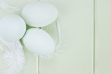 Fresh Ameraucana Eggs And Feathers Stock Image Fresh Ameraucana Eggs And Feathers Stock Image