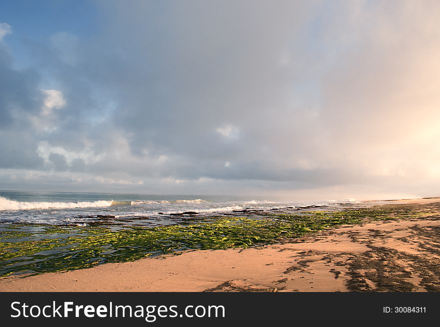 Beautiful coast in western sahara