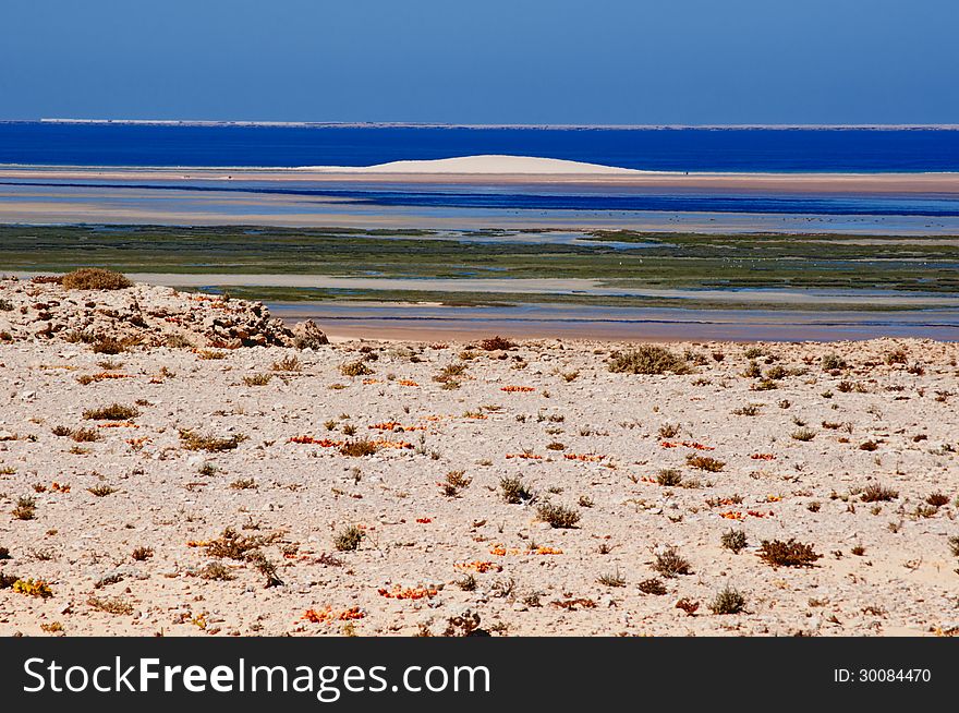 Dunes on beach, dakhla beach , western sahara