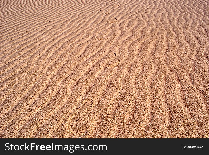 Footprints on the beach ,western sahara