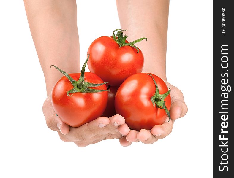 In the hands of a few fresh tomatoes
