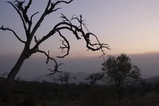 African Sunset Stock Images African Sunset Stock Images