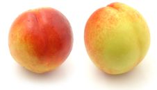 Nectarine Stock Photo Nectarine Stock Photo