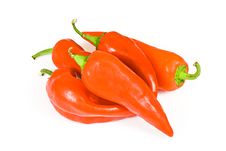 Red Hot Jalapeno Pepper Stock Image Red Hot Jalapeno Pepper Stock Image