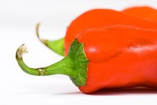 Red Hot Jalapeno Pepper Royalty Free Stock Photo Red Hot Jalapeno Pepper Royalty Free Stock Photo
