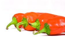 Red Hot Jalapeno Pepper Royalty Free Stock Images