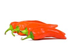 Red Hot Jalapeno Pepper Stock Image