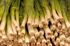 Green Onions Royalty Free Stock Photos Green Onions Royalty Free Stock Photos