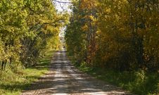 Country Road Royalty Free Stock Image