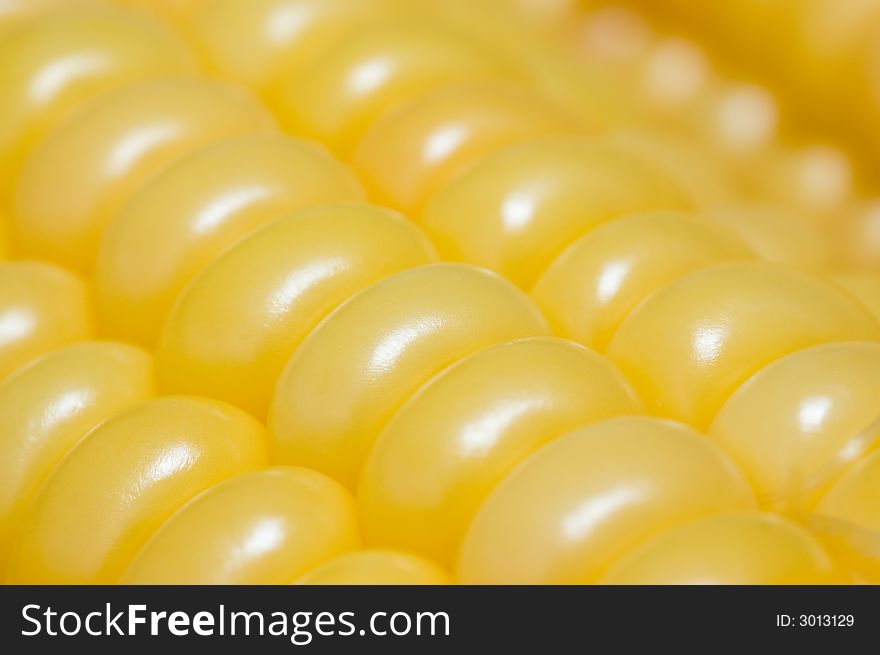 Yellow fresh sweet corn background