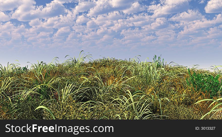 Green grass and blue sky - digital artwork