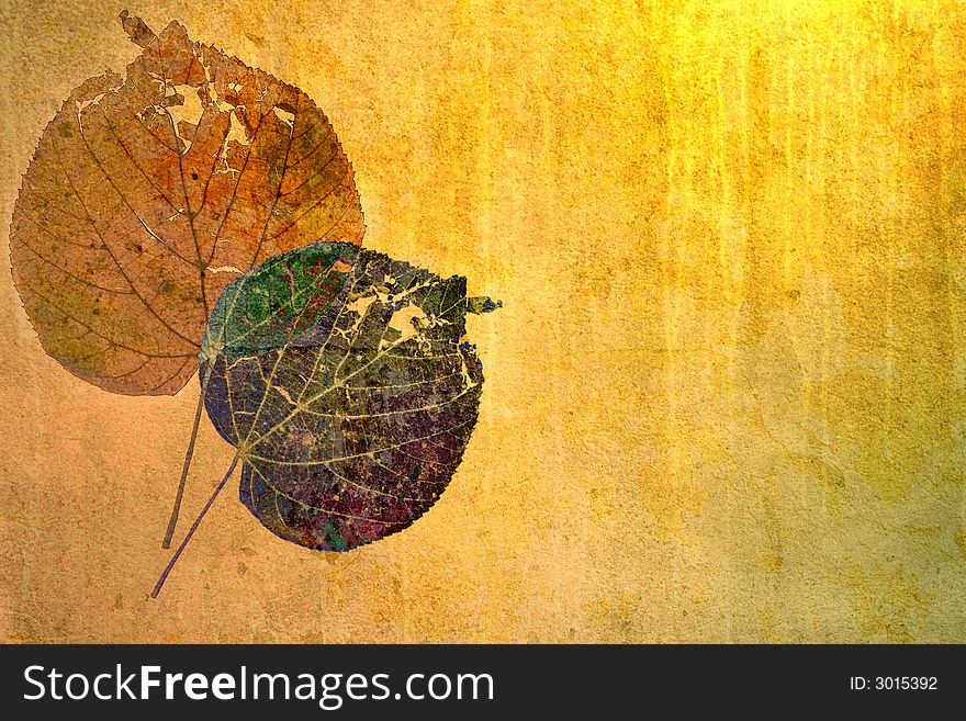 Leaves on a grunge background. Leaves on a grunge background