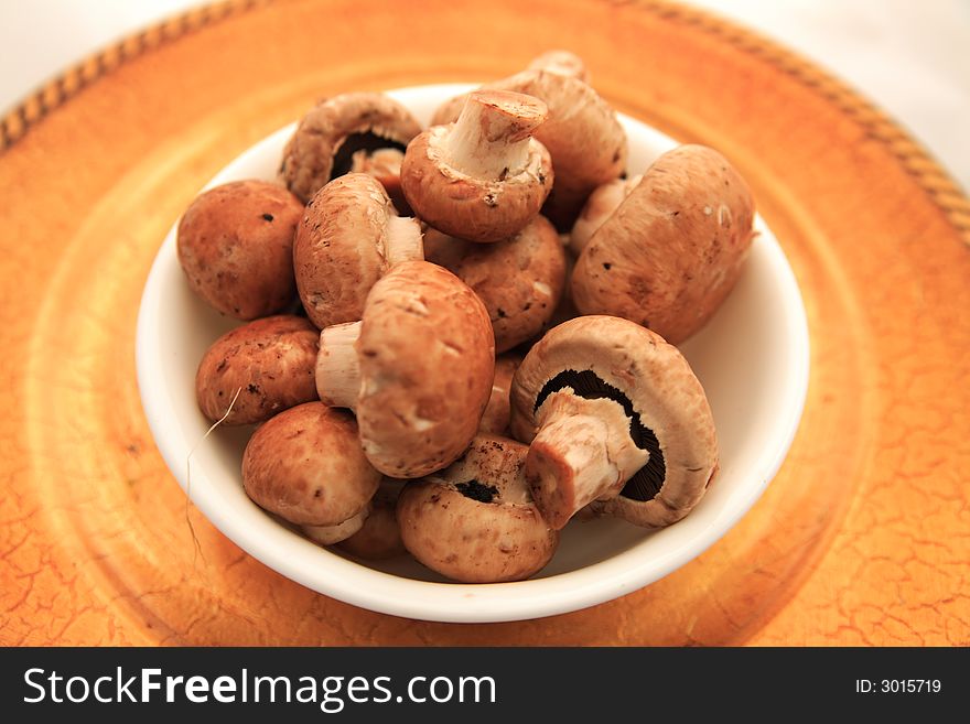 Crimea Mushrooms