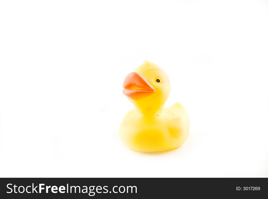 Isolated rubber duck isolated on white