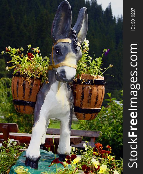 Little donkey in a garden. Little donkey in a garden