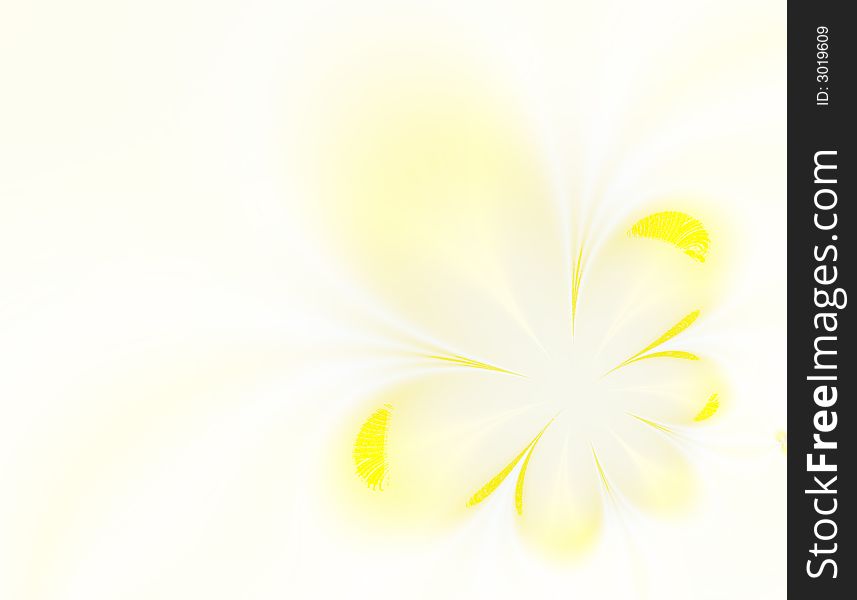 Delicate yellow flower on a white background. Delicate yellow flower on a white background