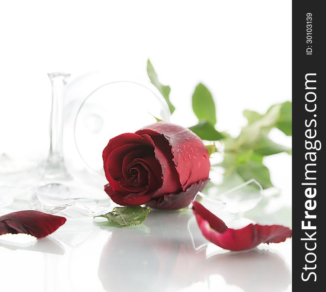 Red rose and broken glass of wine on white background