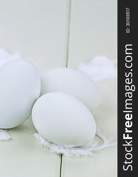 Fresh Ameraucana Eggs and Feathers 2