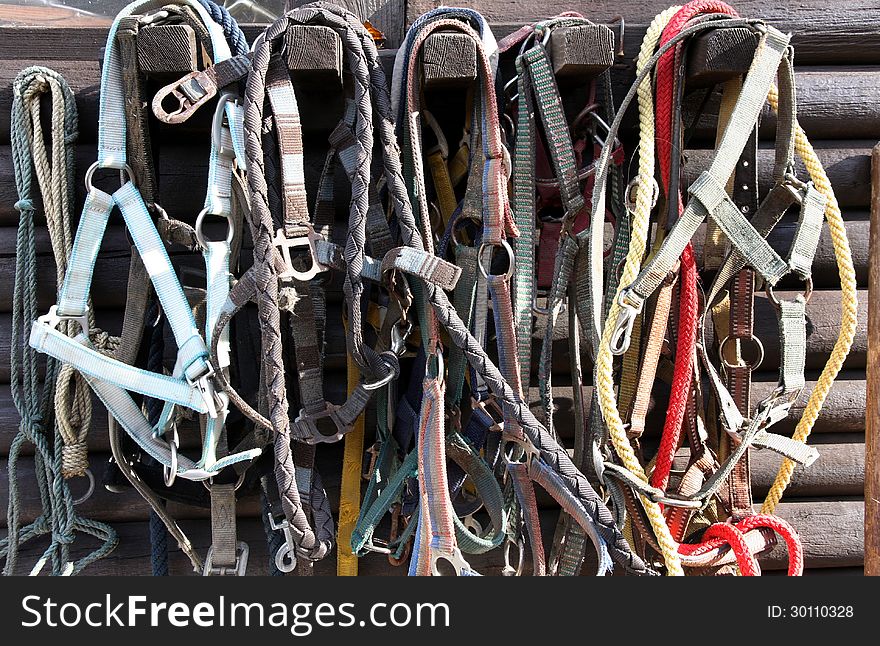 Details Of Diversity Used Horse Reins