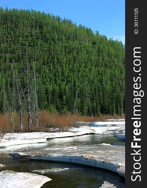 Thaw on a river in taiga