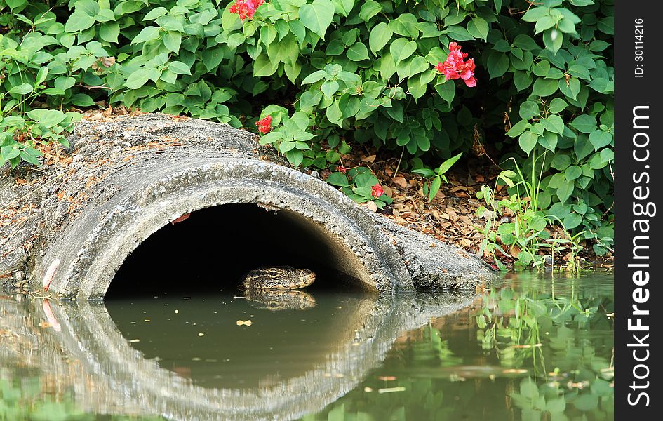Drainage pipe with water monitor