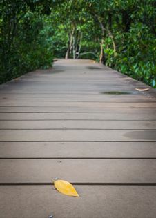 A Leaf On The Wooden Walk Way Royalty Free Stock Photography