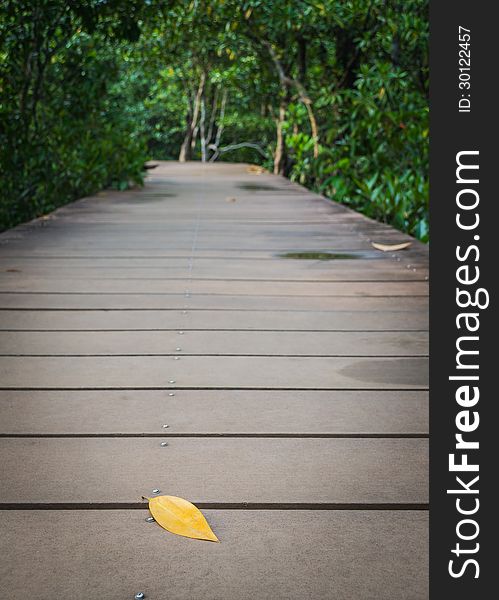 A leaf on the wooden walk way among the forest