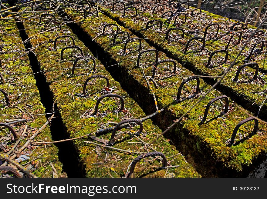 Abandoned panels covered with moss and mold