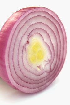 Onion On The White Background Stock Images