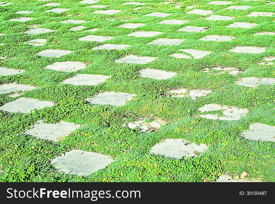 Abstract grass textured background with unique rectangular shape