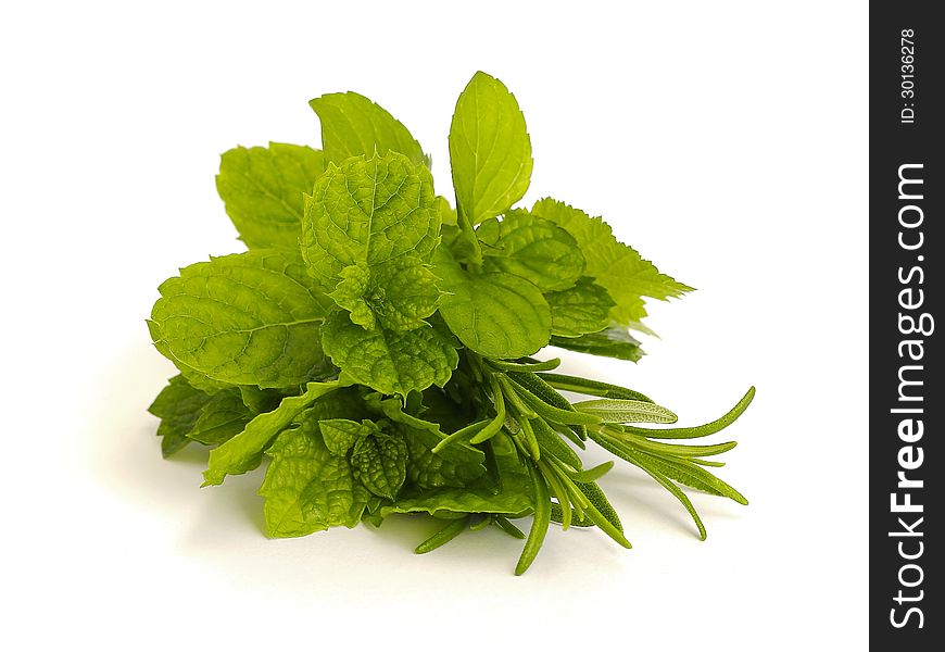 Fresh herbs on white background