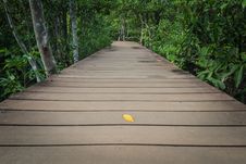 Wooden Walk Way Among The Forest Stock Photography