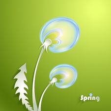 Green Background With Dandelion Stock Images