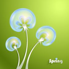 Green Background With Dandelion Royalty Free Stock Image