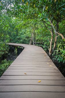 Wooden Walk Way Among The Forest Royalty Free Stock Image